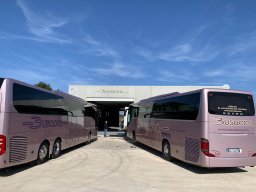 busaccabus 2
